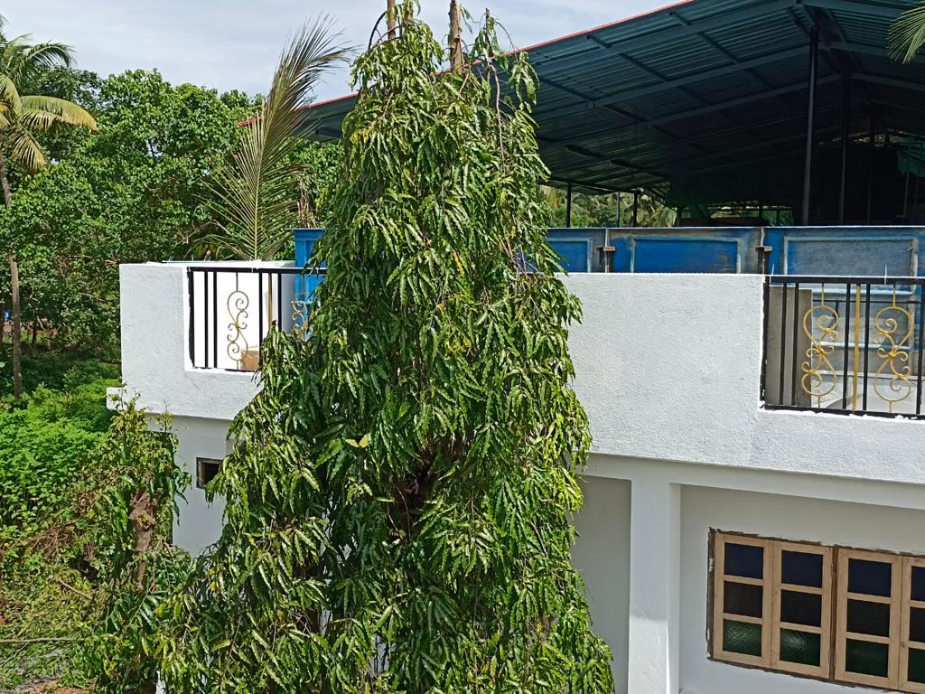J7 Boutique Stay at Anjuna - Tap to explore photos