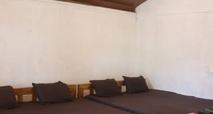 Coconut Tree Cafe Room Type - Quadruple room