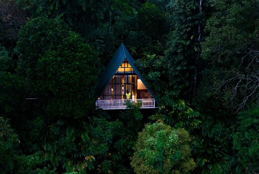 Willmount Munnar | Cozy Valley-View Nature Cabins & Retreat