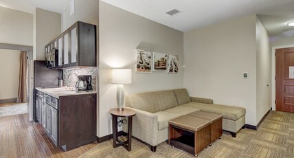 Staybridge Suites BALTIMORE - INNER HARBOR, an IHG hotel Room Type - 1 King 1 Bedroom Suite Sofa Bed