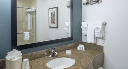 Hilton Garden Inn DFW North Grapevine Room Type - 1 KING W DRINKS-SNACKS