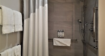 Holiday Inn Express Apex - Raleigh Room Type - 1 King Standard Mobility Accessible Roll In Shower