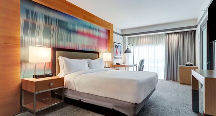Hilton University of Houston Hotel Room Type - 1 KING BED