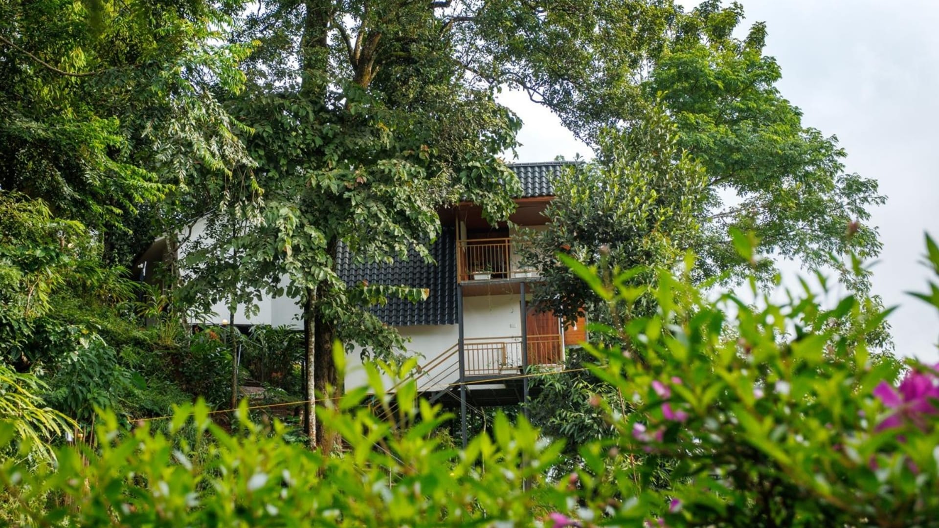 Wild Stories Resort - Tap to explore photos