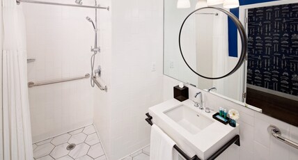 Hotel Indigo BOSTON GARDEN Room Type - 1 King Communications Accessible Roll In Shower