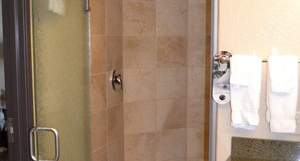 Holiday Inn Eau Claire South Room Type - 1 King Standard Walk-In Shower