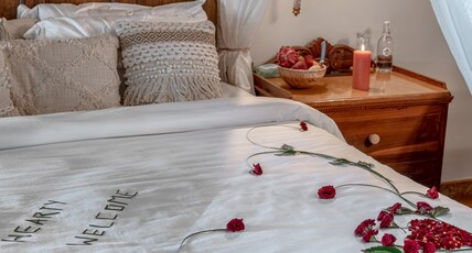 Palm Villa A Private Beach Sanctuary Room Type - Ocean View Pool Villa with Balcony and Sea View