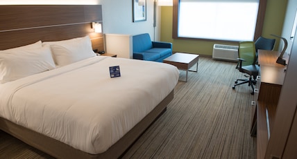 Holiday Inn Express & Suites - Orland Park Mokena Room Type - 1 King Suite