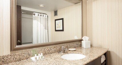 Holiday Inn DUBUQUE/GALENA Room Type - 1 King Bed Standard