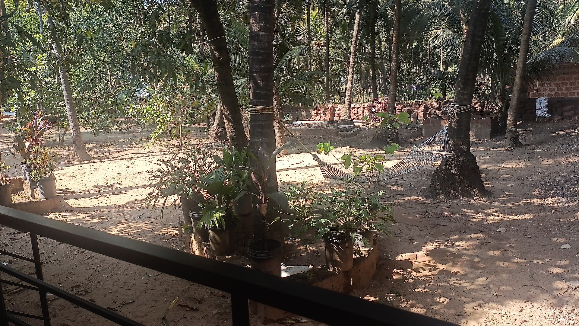 Vijaya Guest House - Tap to explore photos