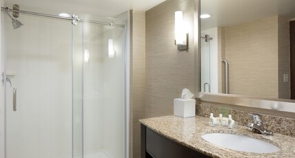 Holiday Inn DUBUQUE/GALENA Room Type - 1 King Bed Standard Walk In Shower