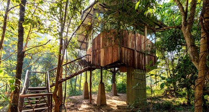 Kanha Jungle Camp Room Type - Elevated Luxury Cottages