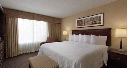 Embassy Suites Lubbock Room Type - 1 KING BED PREMIUM SUITE