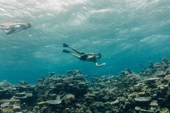 Park Hyatt Maldives Hadahaa