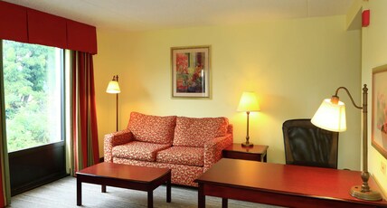 Hampton Inn & Suites by Hilton Lamar Room Type - 1 KNG ACC TUB SOFABED NS