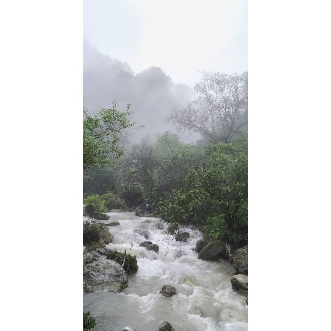 Aqua Farm Homestay - Tap to explore photos