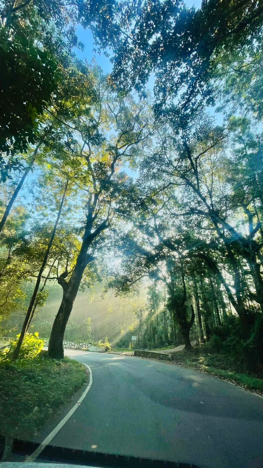 Arabica. Home stay 5 Rooms in Coorg Peaceful - Tap to explore photos