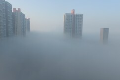 White-Victory Eminence