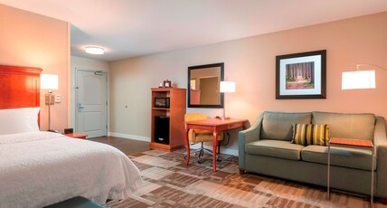 Hampton Inn by Hilton Bellevue Room Type - 1KING STUDY SOFABED NOSMOK