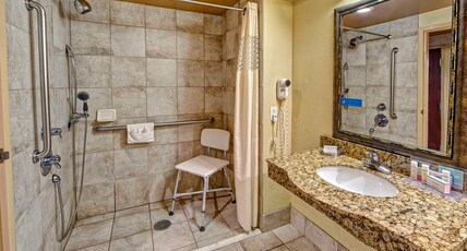 Hampton Inn Indianapolis-SW-Plainfield Room Type - 1 KNG ACC ROLLIN SHWR NS