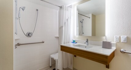 Holiday Inn Express & Suites CEDAR FALLS - WATERLOO Room Type - 1 Kng Standrd Comm Mobil Access Rll Shwr