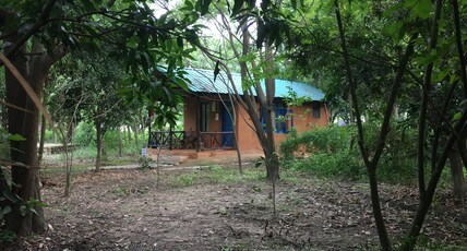 Camp Hornbill Room Type - Wallcreeper (Unique Mud Cottage) - Forest View