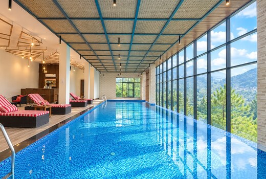 Jungle Lodge Resort & Spa