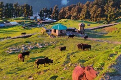 Amar homestay and guest house