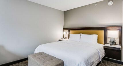 Hampton Inn & Suites Mobile- Downtown Historic District Room Type - 1KING STUDY SOFABED NOSMOK