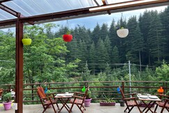 Green Woods Old Manali Hotel And Cafe