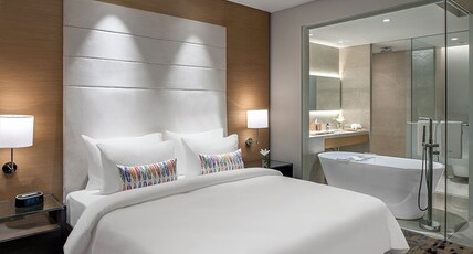 Feathers A Radha Hotel Chennai Room Type - Executive(Non-Smoking Rooms)
