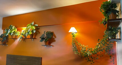 Sunset Peaks : A Romantic BoHo Studio Room Type - Sunset Peaks : A Romantic BoHo Studio