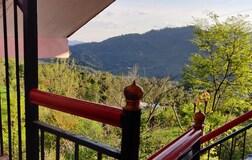 Outdoors