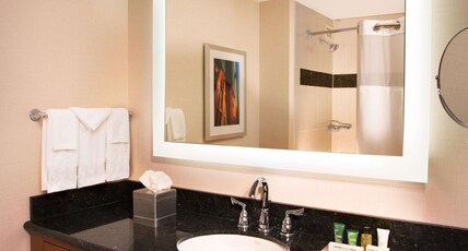 Hilton Minneapolis Room Type - DELUXE 1 KING BED CITYVIEW