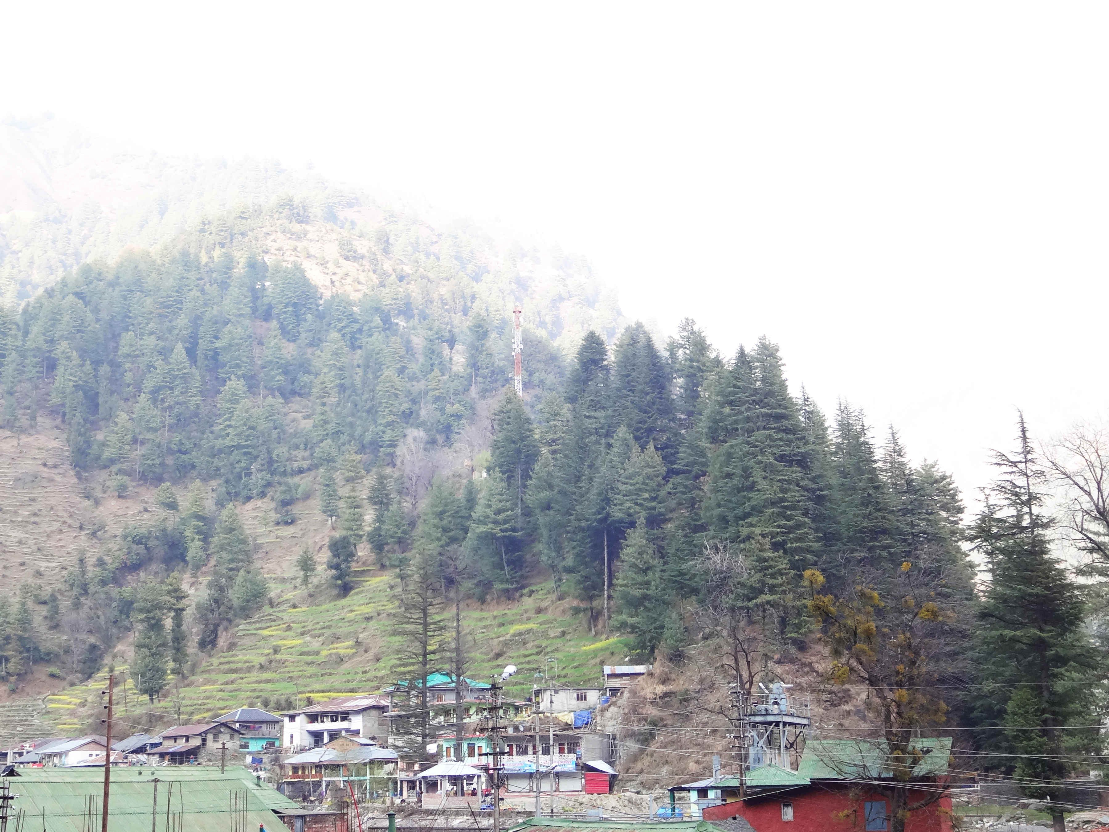 HOTEL ROSHAN - Tap to explore photos