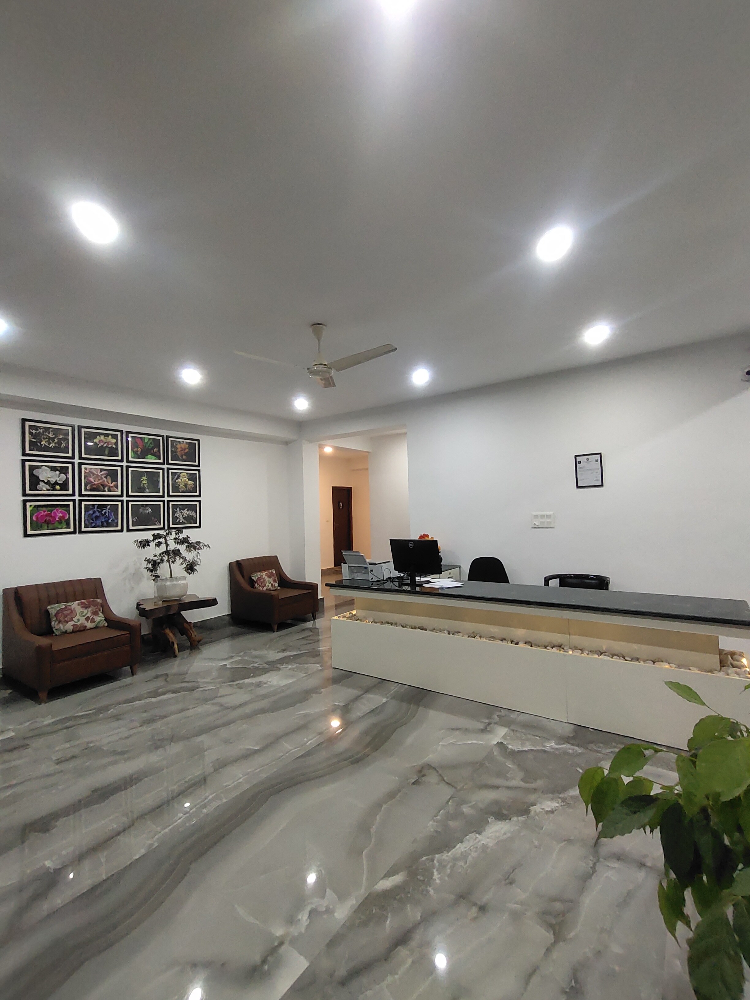 Main gallery