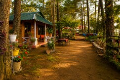 Address of Pinewood Nirvana Jungle Resort