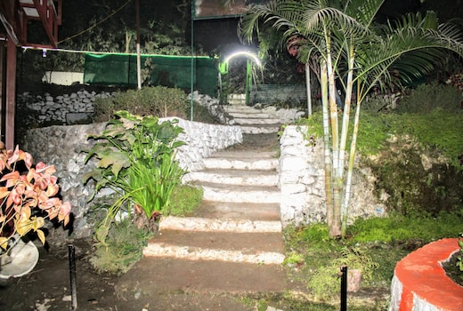 Jungle Lore Camp | Resort & Retreat