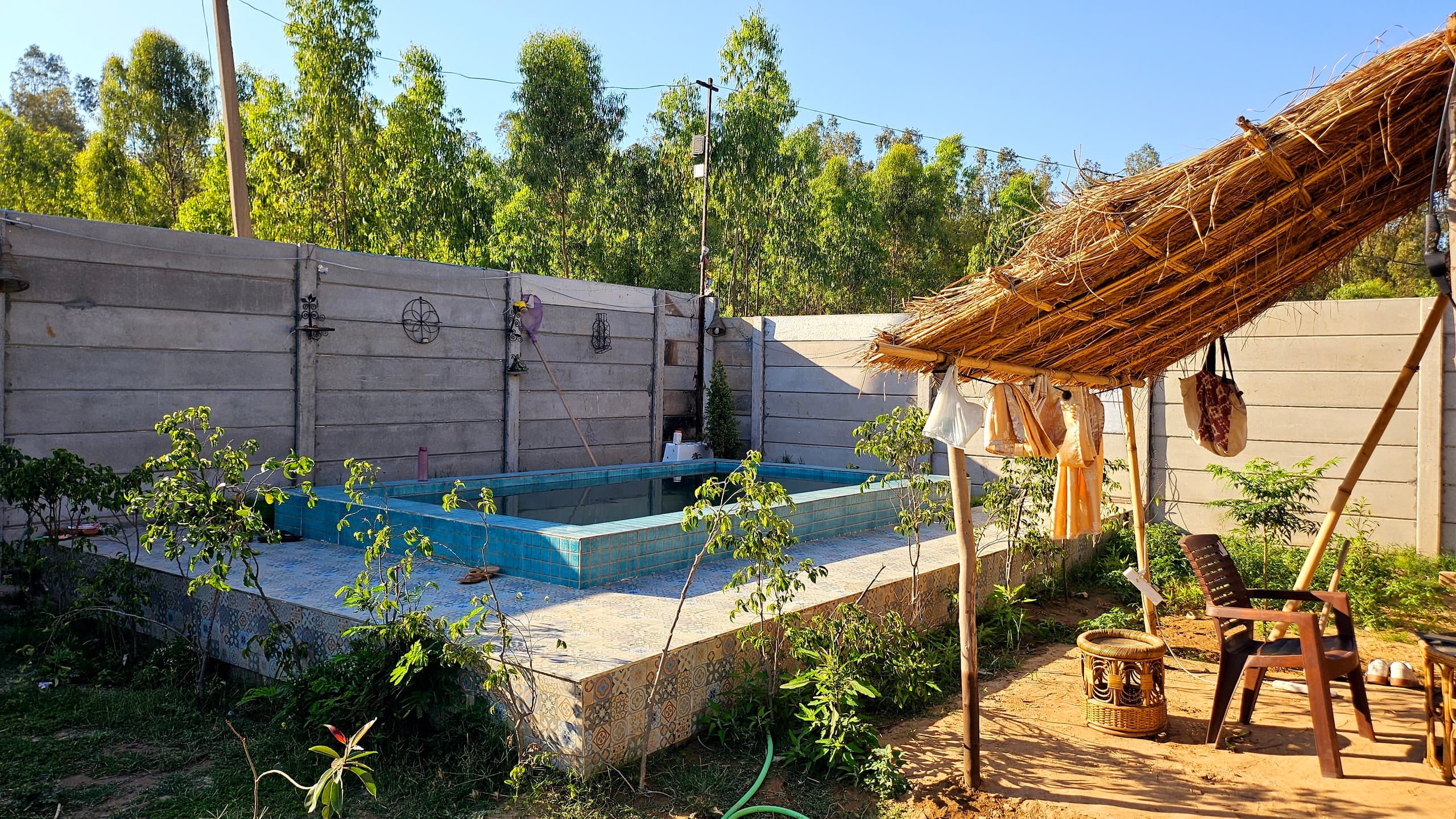 Parmar farm stay and dog hosting - Tap to explore photos