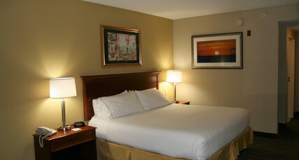 Holiday Inn Express Hotel & Suites Brooksville West Room Type - 1 King Suite Sofa Bed Jetted Tub