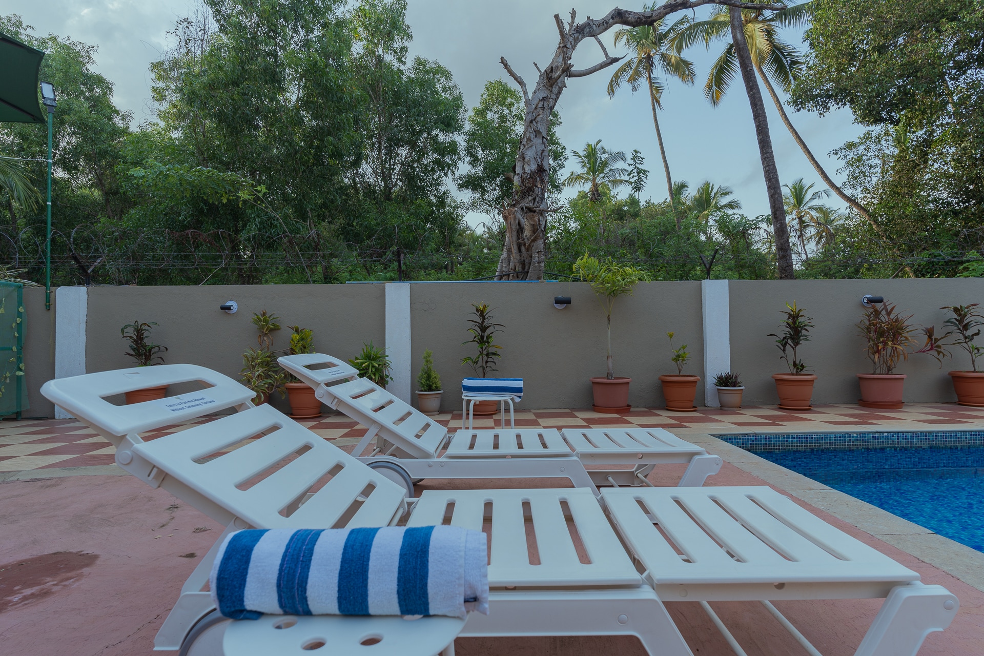 TreeHouse Blue Hotel & Villas - Tap to explore photos