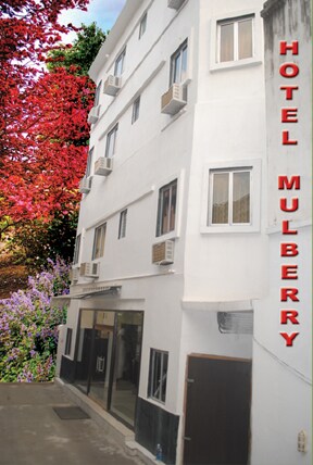 Hotel Mulberry - Tap to explore photos