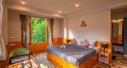 Zostel Manali (Vashisht) Room Type - Deluxe Room