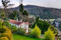 The Humming Bird A Stay Chapter