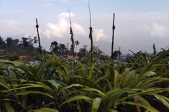 Himalayan Homestay Sillery Gaon