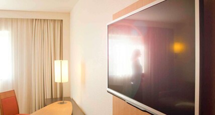 Novotel Pau Pyr Room Type - Executive Room with 1 double bed