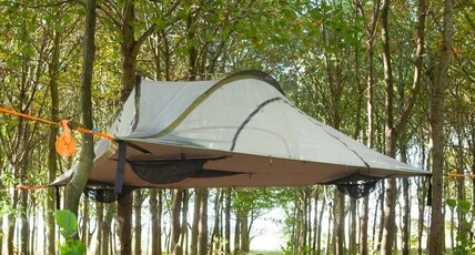 Stingary Woods Neral Room Type - STINGRAY TREE TENT