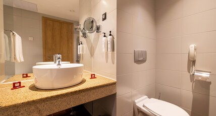 Metropolitan Hotel Sofia, a member of Radisson Individuals Room Type - Standard Room