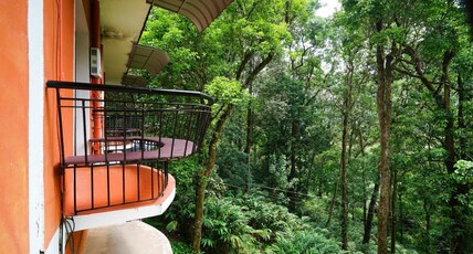 Forest Haven Resort Room Type - Forest View Room