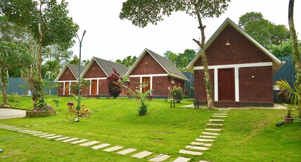 Misty Forest Cottages | Jungle View Room Type - Misty Forest Cottages | Jungle View